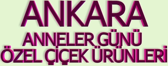 ankara anneler gn iek siparii