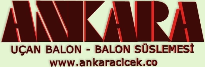 Ankara balon sslemesi