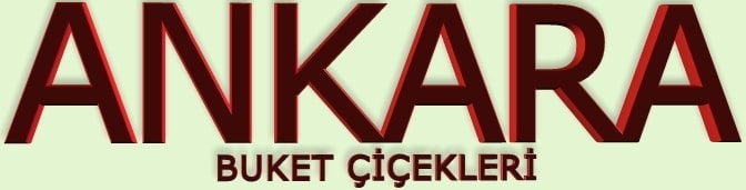 Ankara buket iekleri