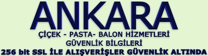 ankara ieki deme gvenlik