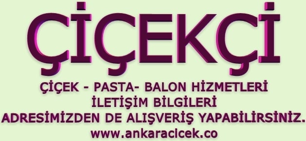 Ankara iek iletiim