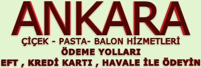 Ankara iek deme yollar