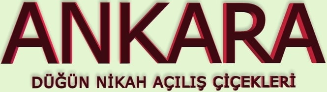 Ankara dn nikah al iekleri