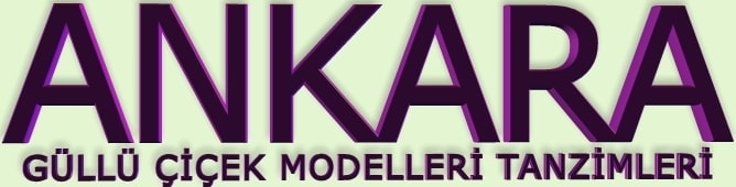 ankara g�ll� �i�ek modelleri