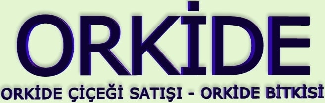Orkide iei sat