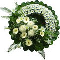Ankara Aya Elvankent ieki firma rnmz cenazeye iek elenk modeli Ankara iek gnder firmas ahane rnmz