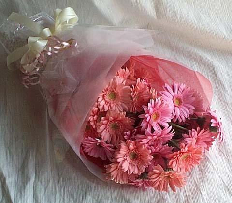 Ankara Aya iek gnderimi site rnmz 13 adet gerbera iek buketi