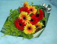 Ankara Aya ieki dkkanmzdan Kark gerbera iekleri buketi