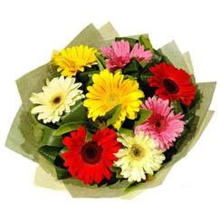 Ankara Aya Keiren ieki firma rnmz Kark renkte gerbera iekleri