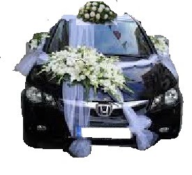 Ankara Aya ift iekli dn gelin arabas sslemesi snnet arabas ssleme
